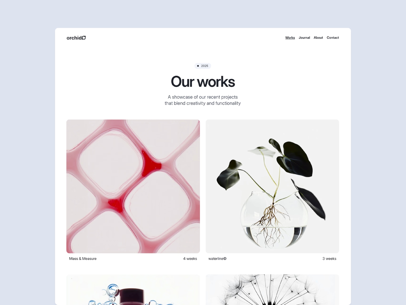 Screenshot 2 of Orchid