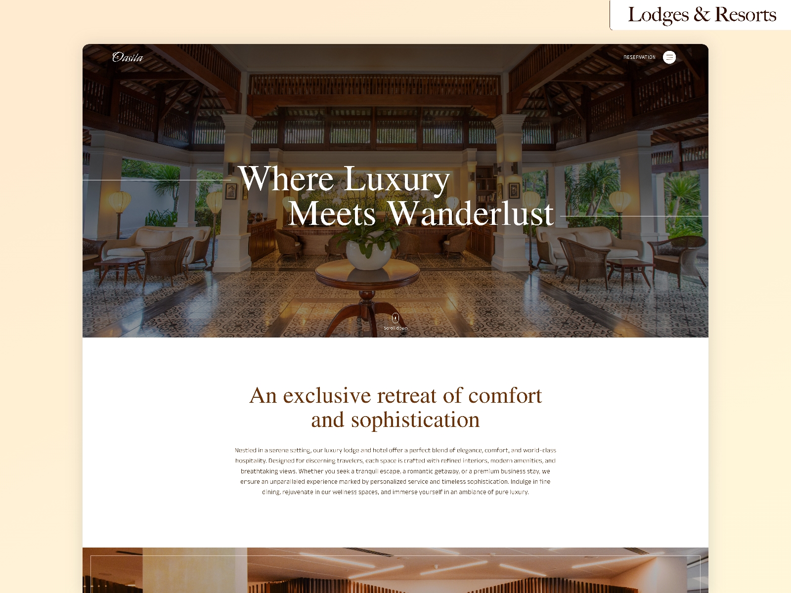 Screenshot of Osila website