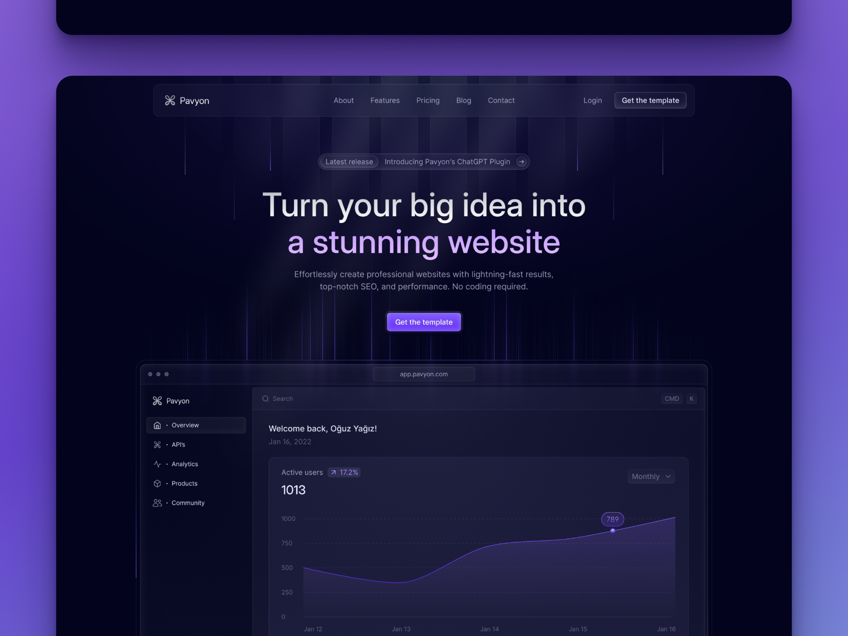 Screenshot of Pavyon website