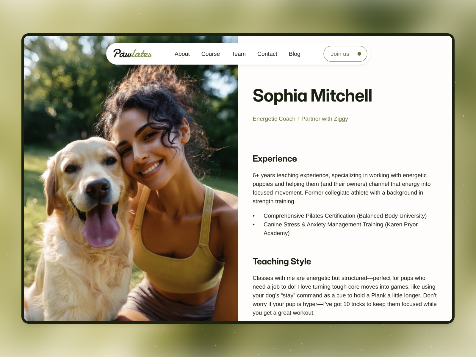 Screenshot 4 of Pawlates