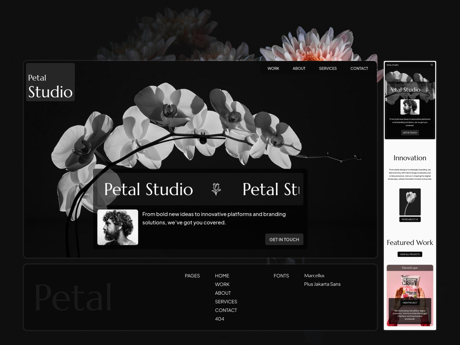 Screenshot of Petal website