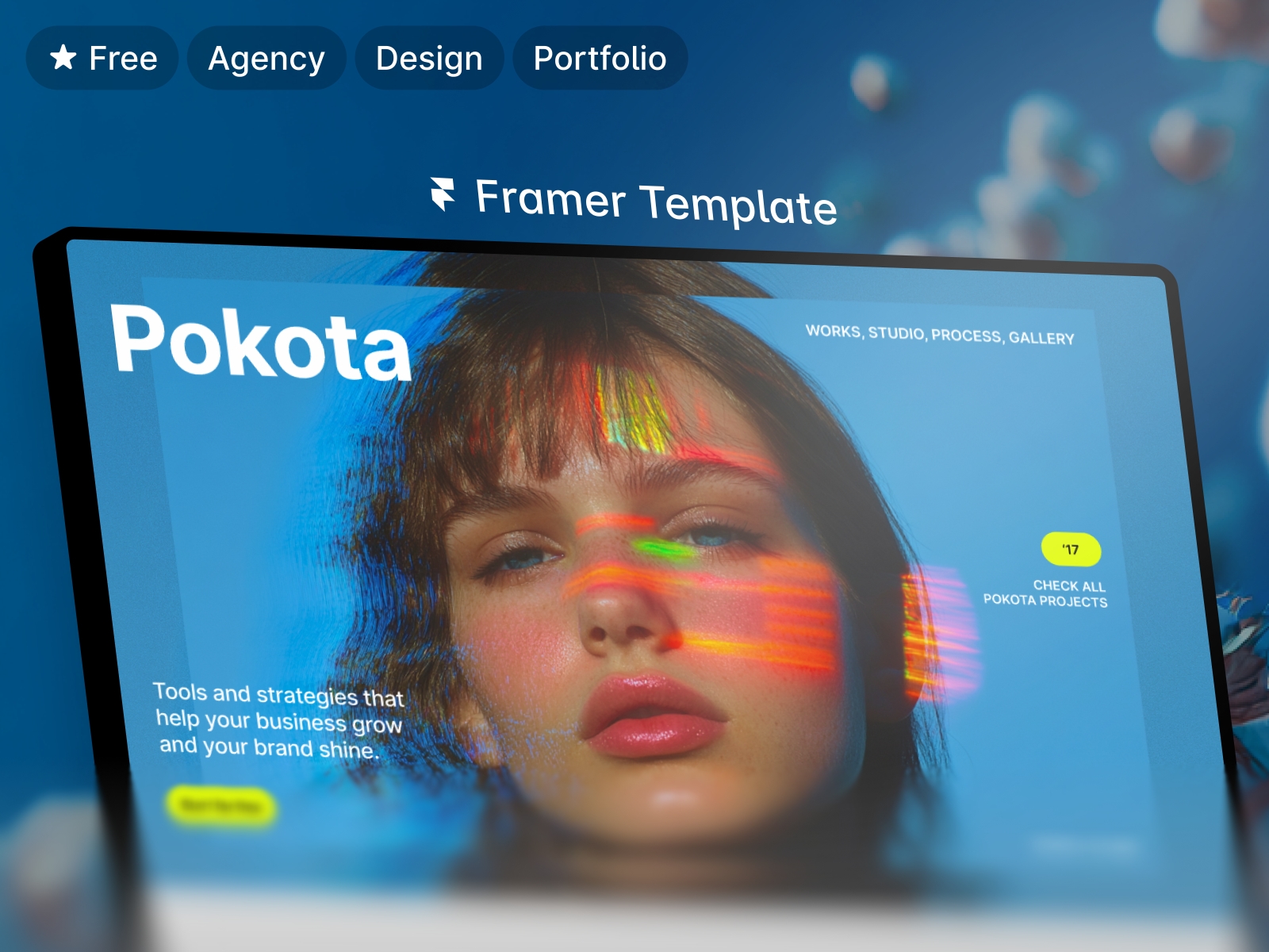 Screenshot of Pokota website