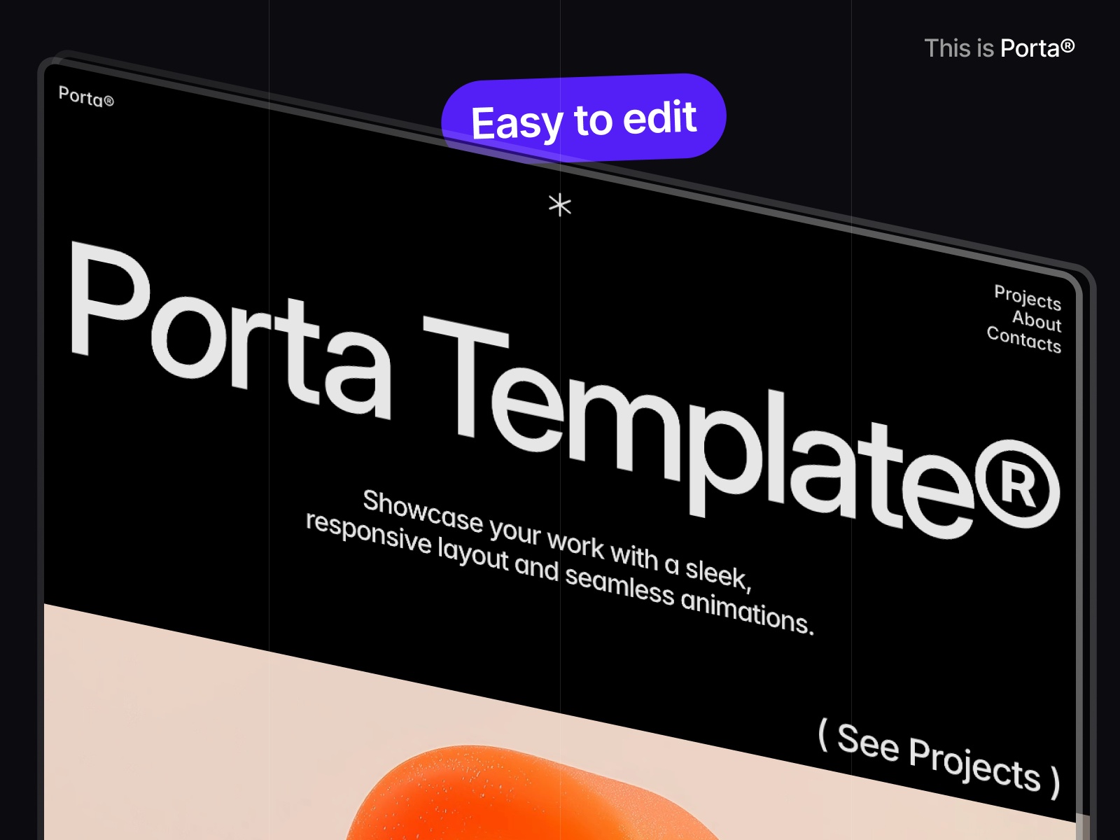 Screenshot of Porta website