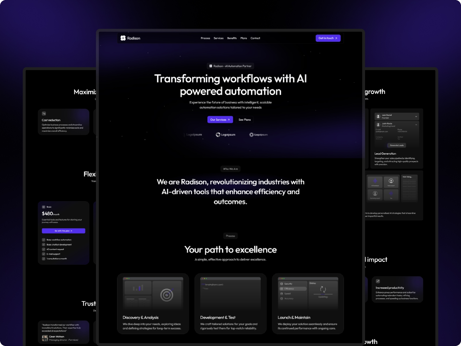 Screenshot of Radison website