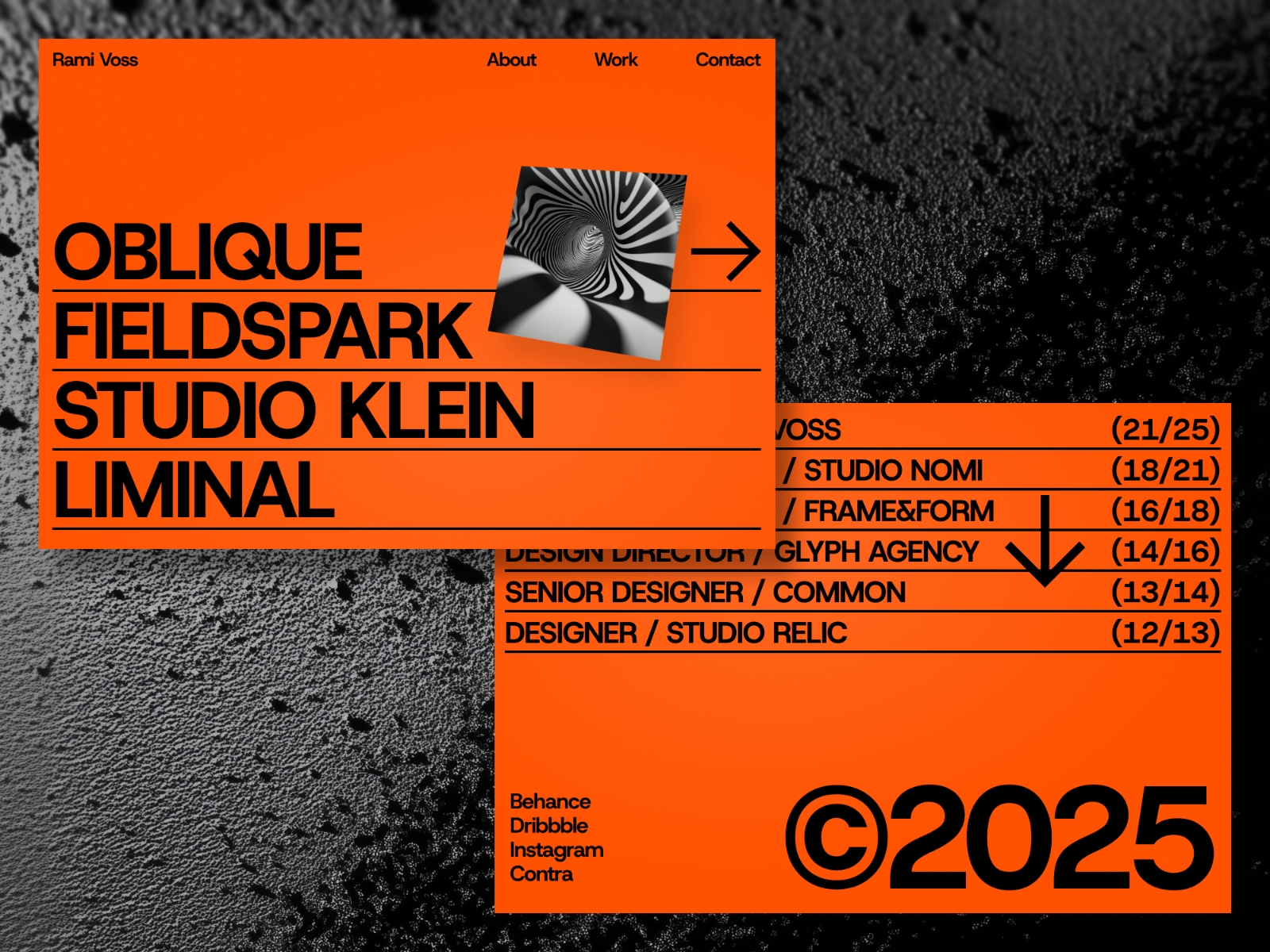 Screenshot 2 of Rami voss