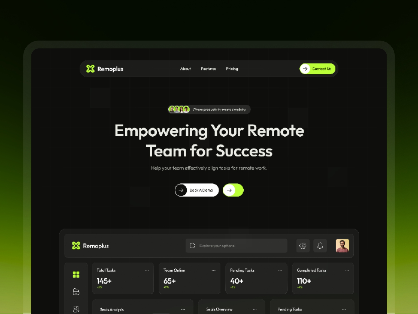 Screenshot of Remoplus website