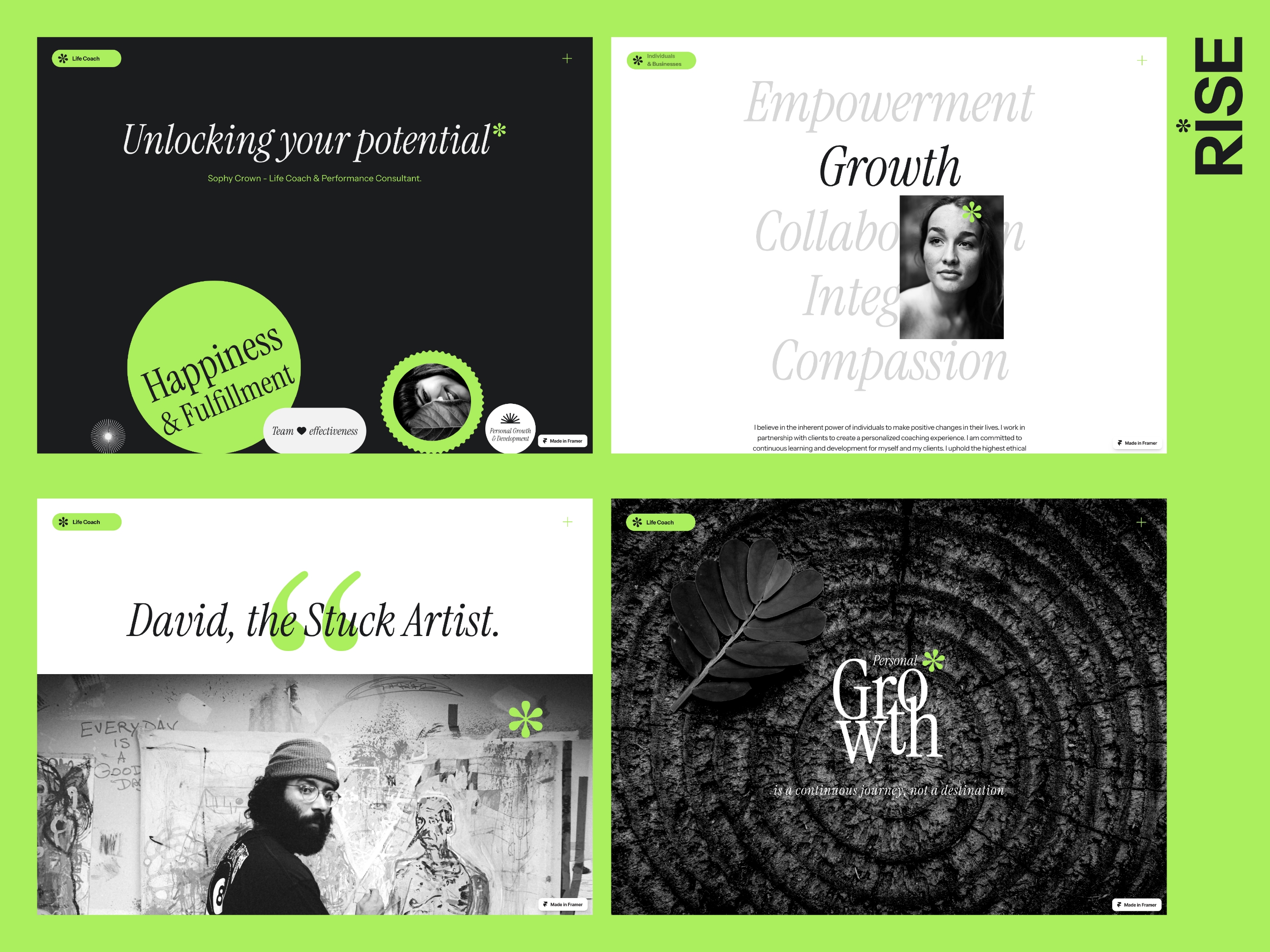 Screenshot of Rise website