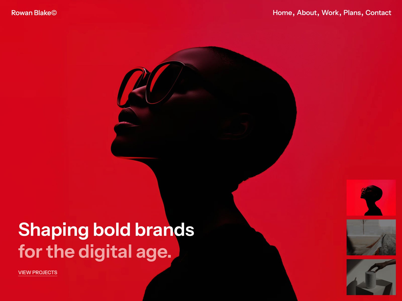 Screenshot of Rowan x website