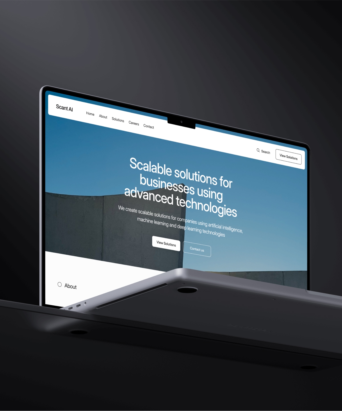 Screenshot of Scant ai website