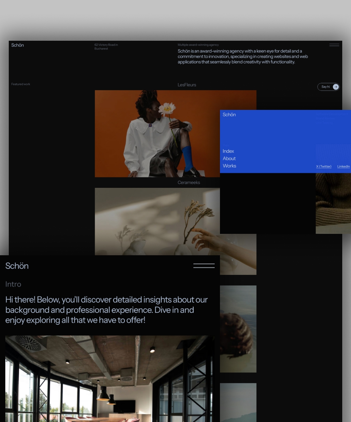 Screenshot of Schon creative portfolio template website