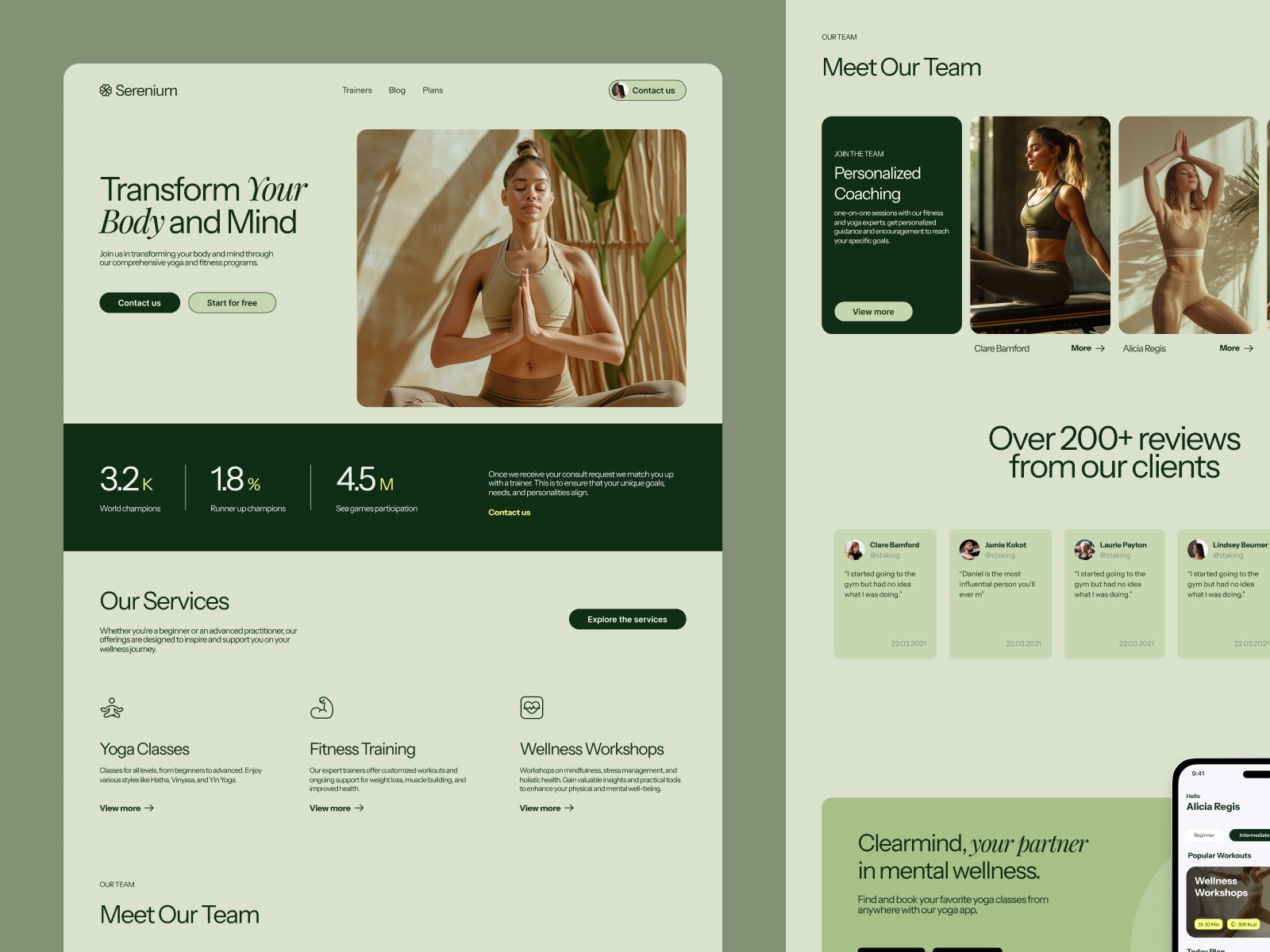 Screenshot of Serenium website