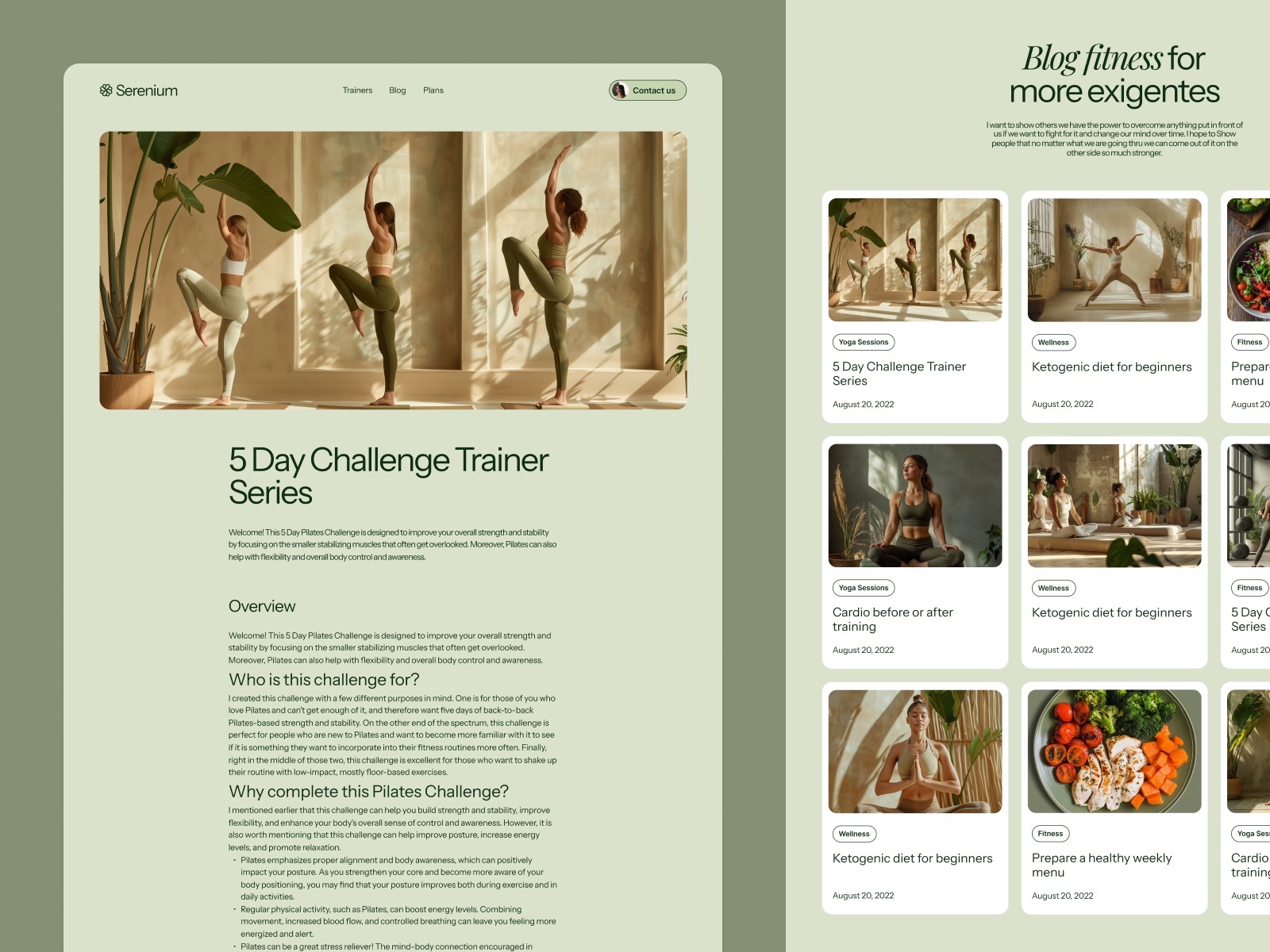 Screenshot 3 of Serenium