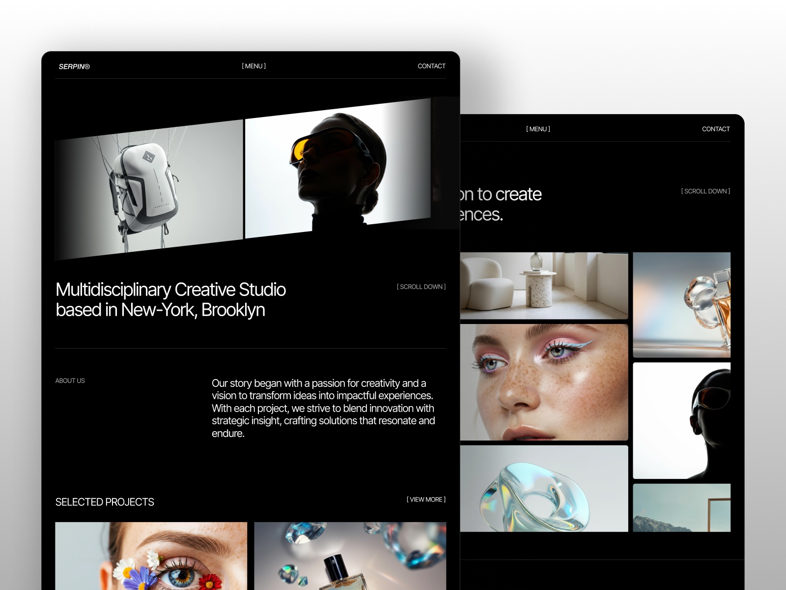 Screenshot of Serpin website