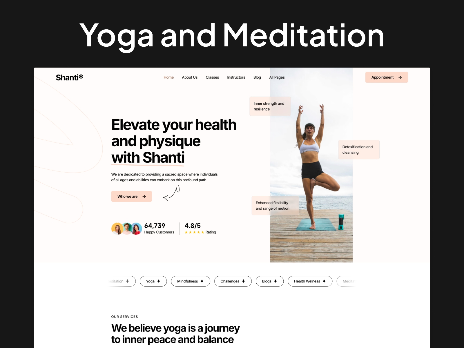 Screenshot of Shanti website