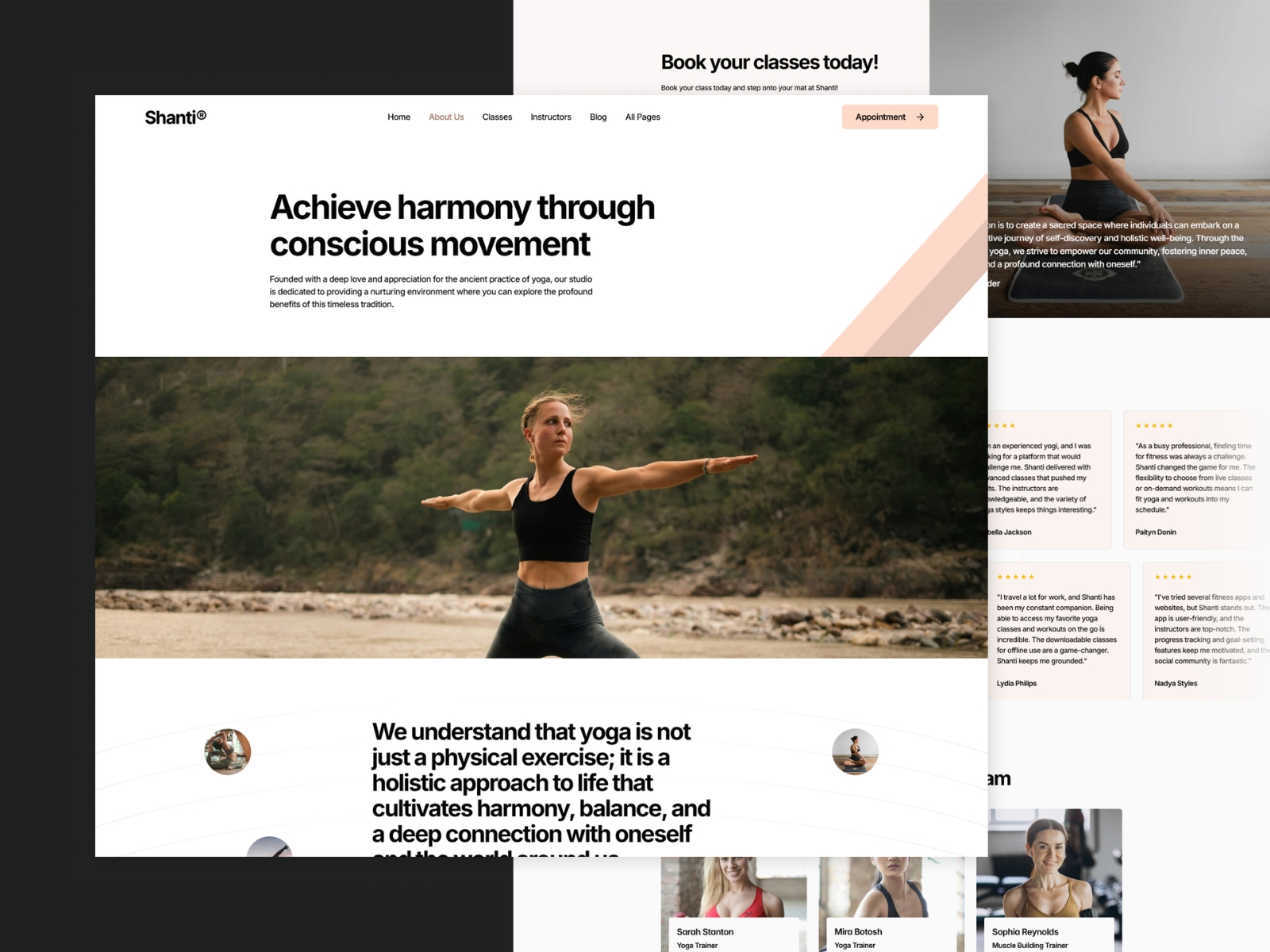 Screenshot 3 of Shanti