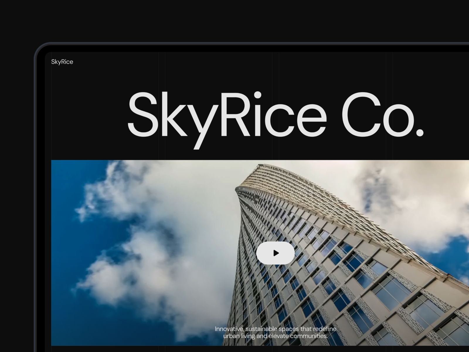 Screenshot of Skyrice website