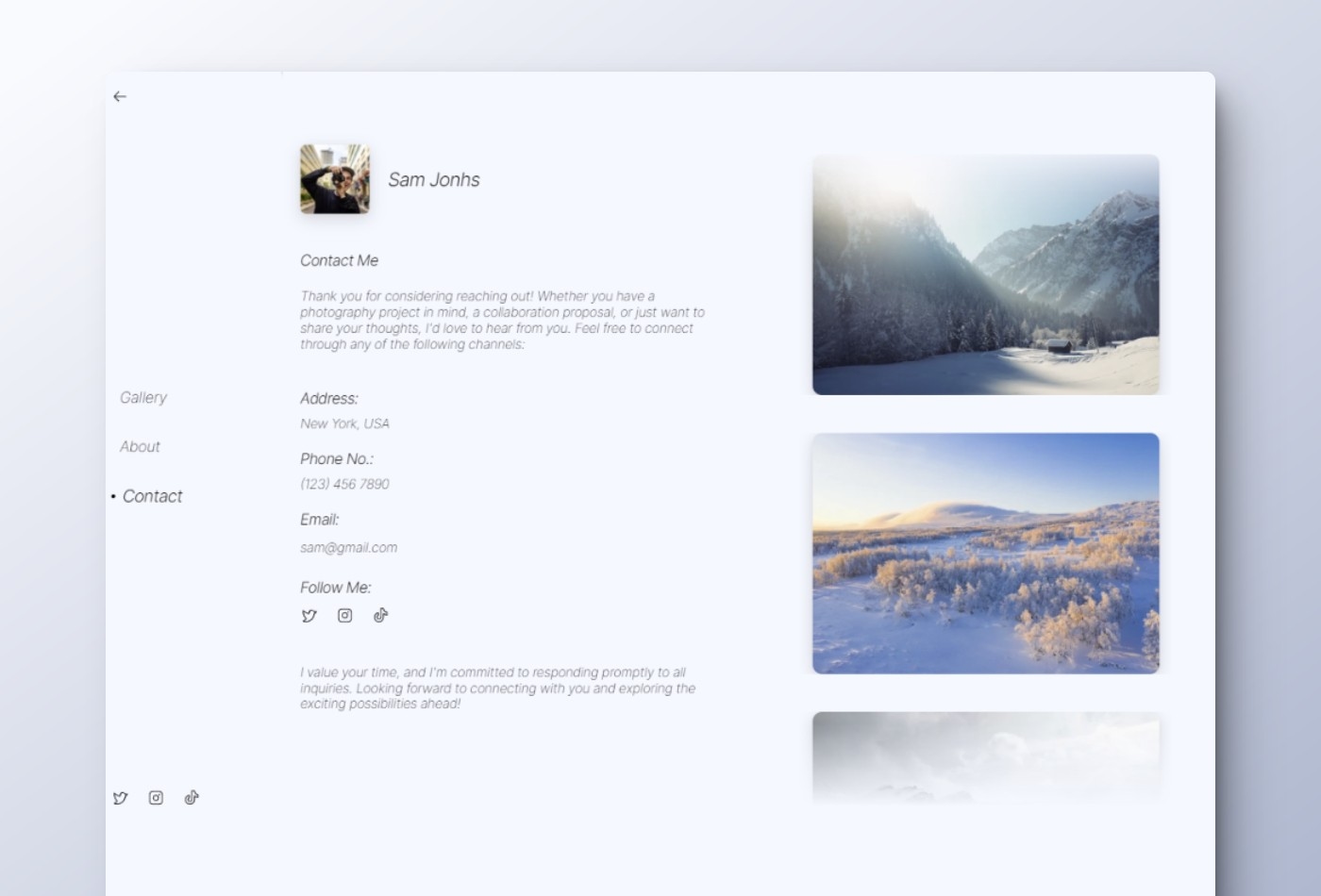 Screenshot 4 of Snow photography portfolio template