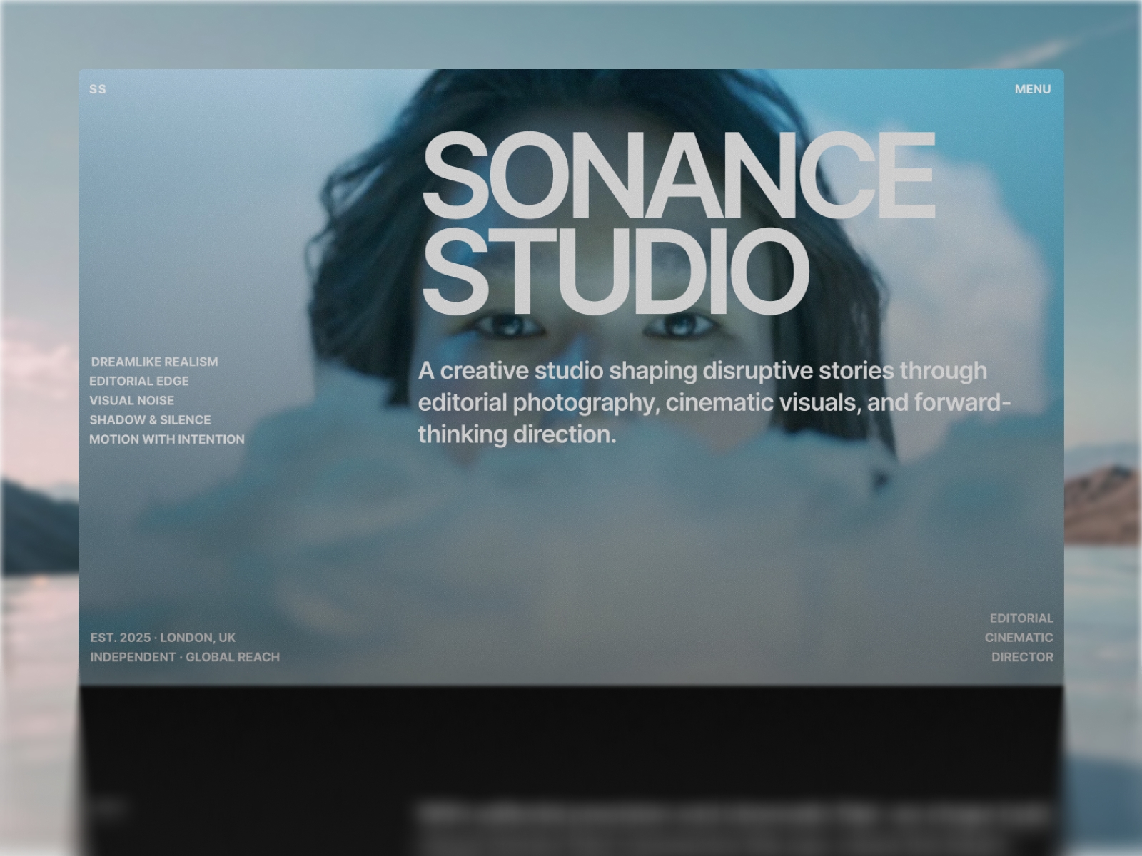 Screenshot of Sonance website