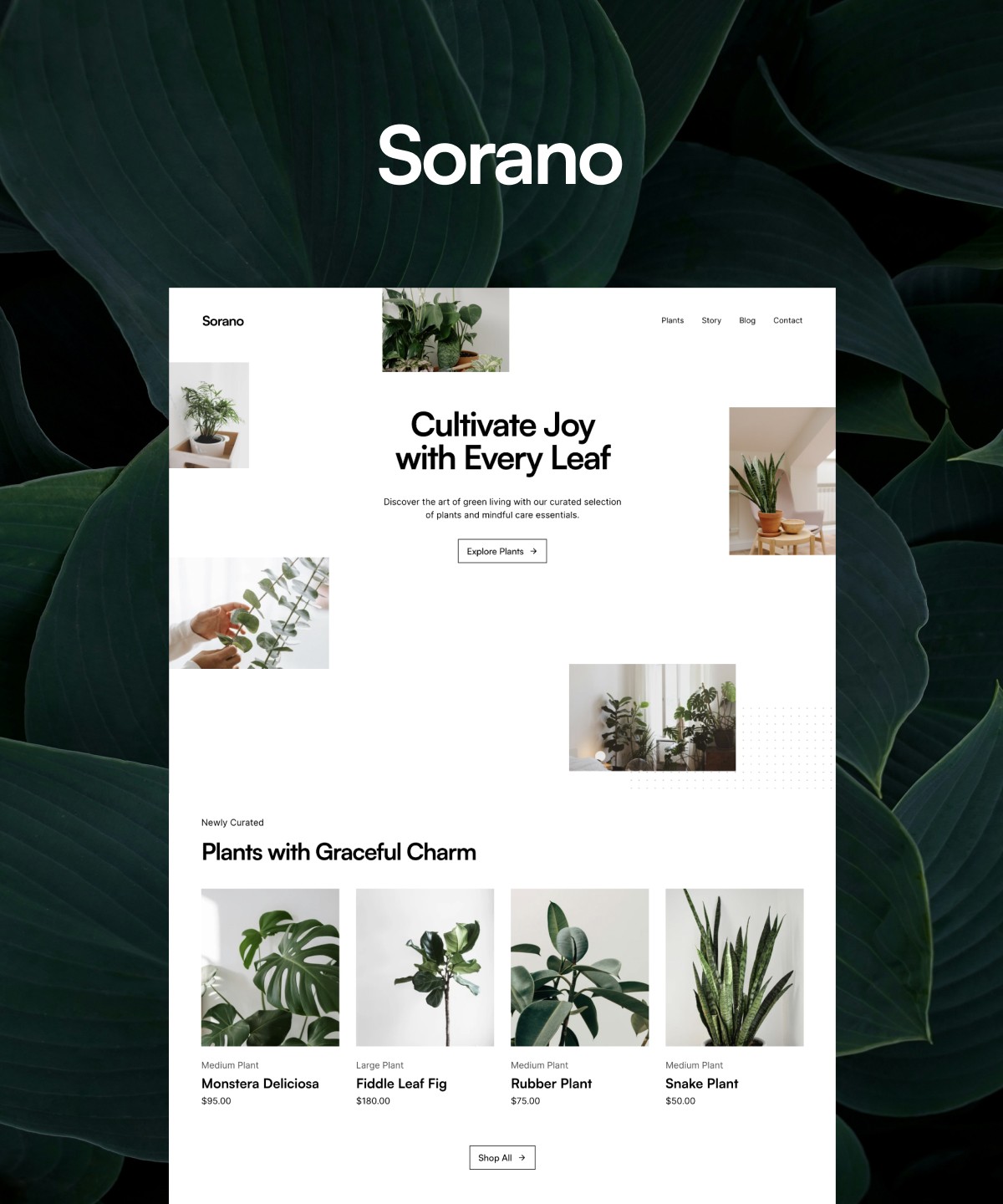 Screenshot of Sorano website