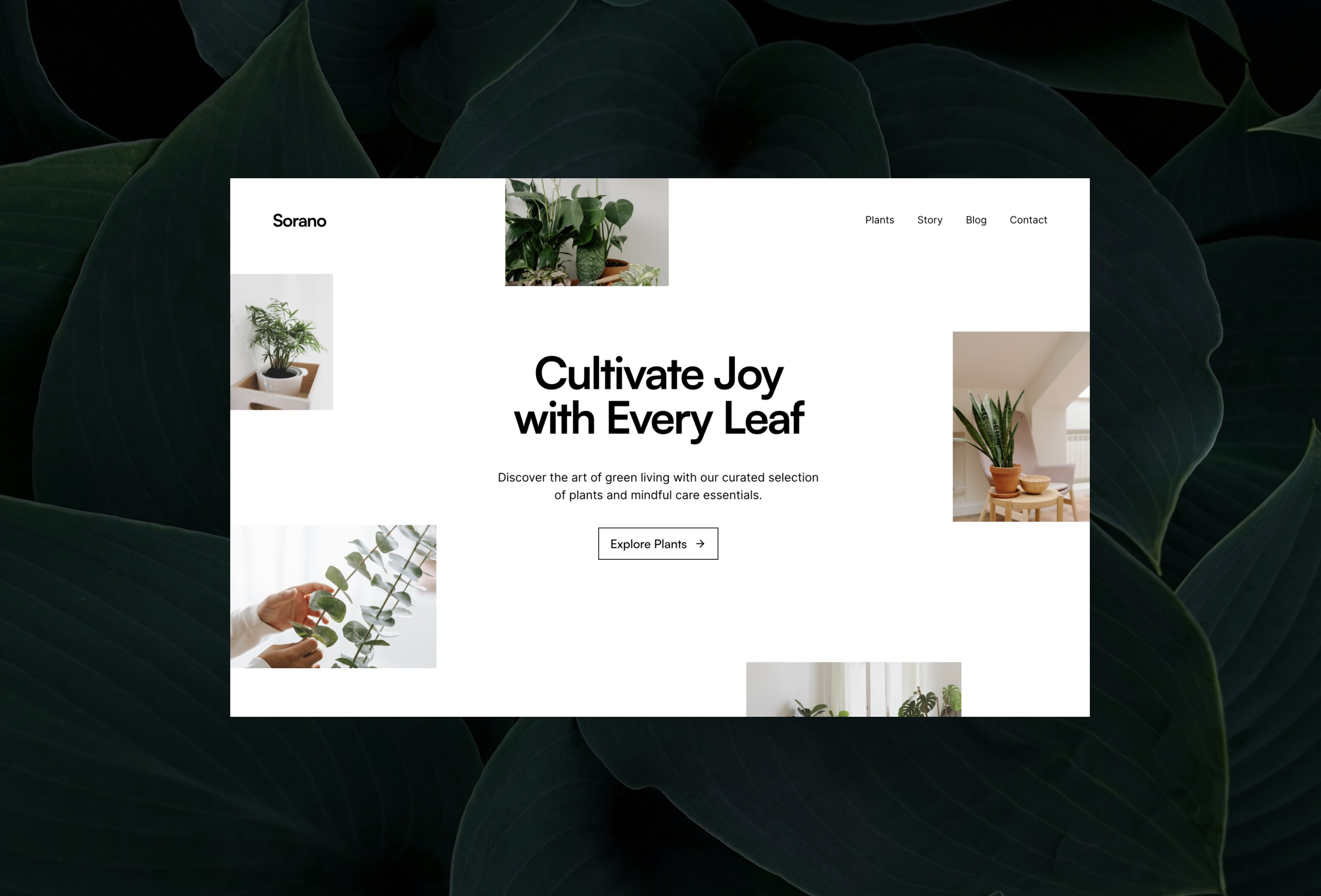 Screenshot 2 of Sorano