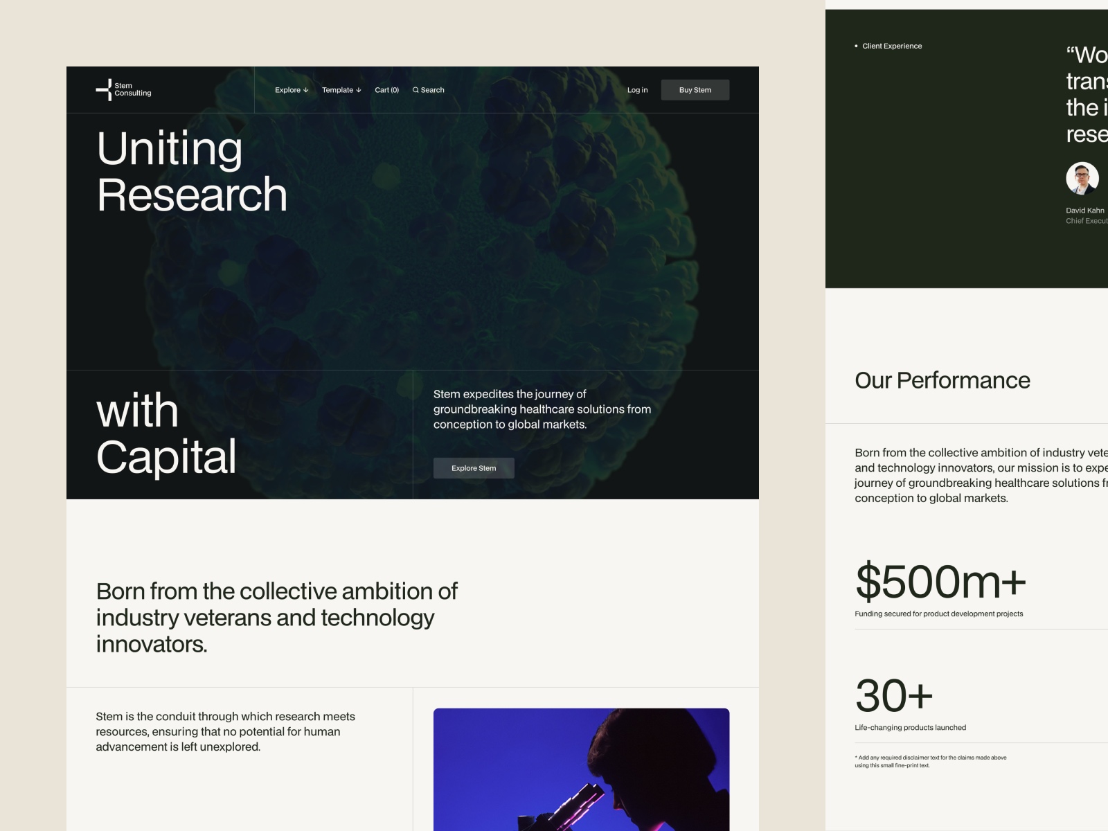 Screenshot of Stem capital website