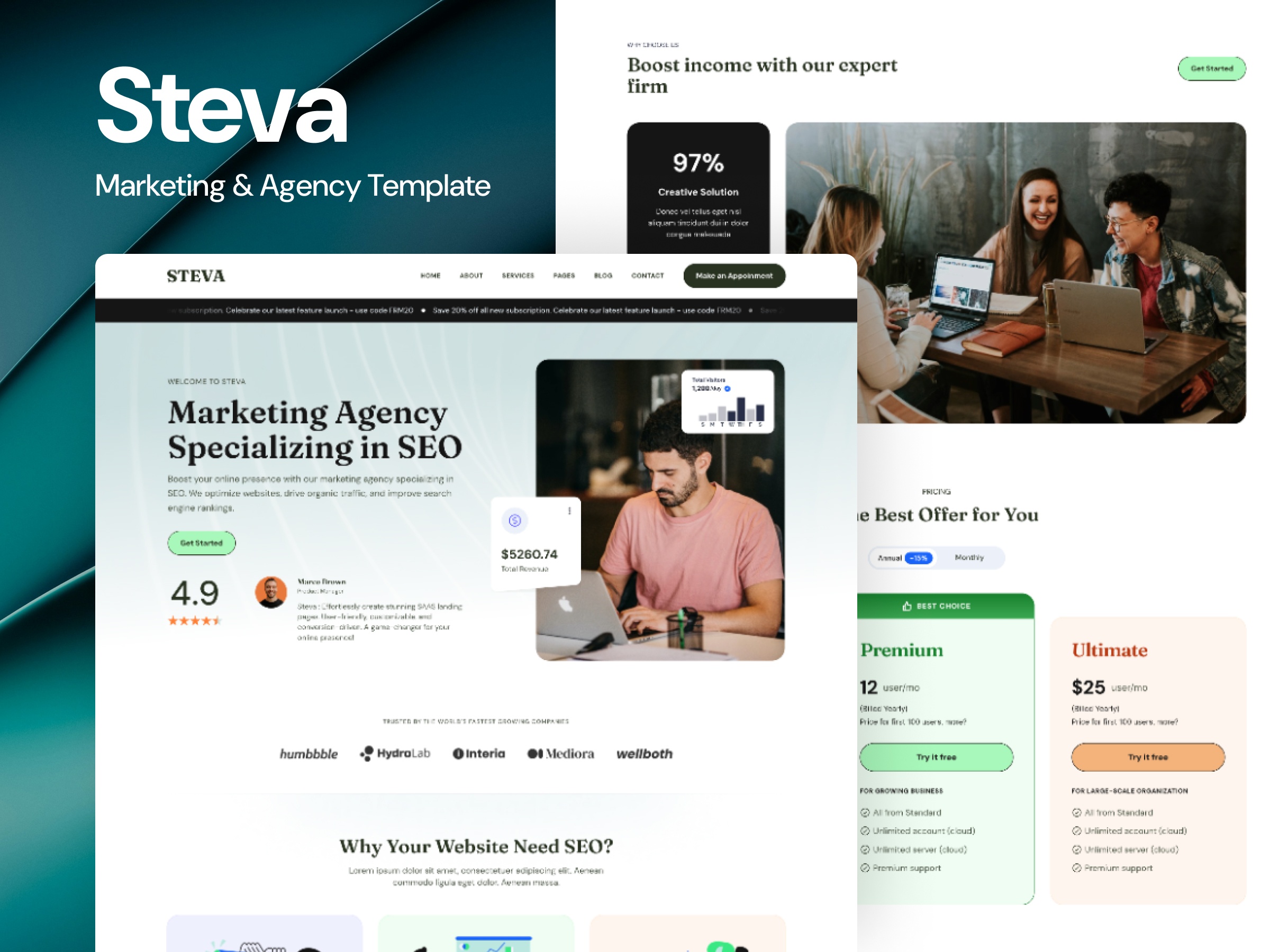 Screenshot of Steva website