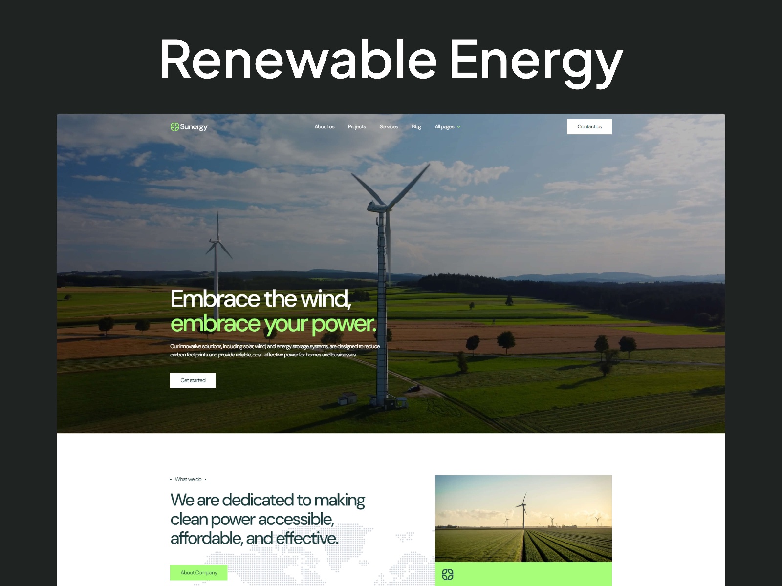 Screenshot of Sunergy website