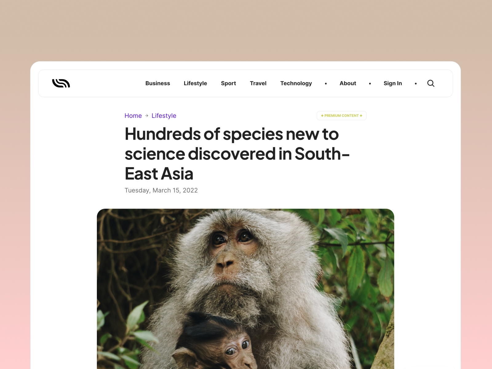 Screenshot of Swen website