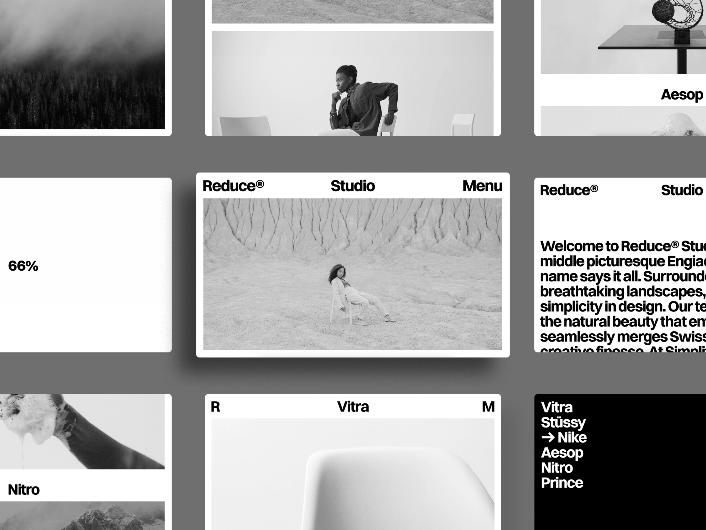 Screenshot of Swissreduce website