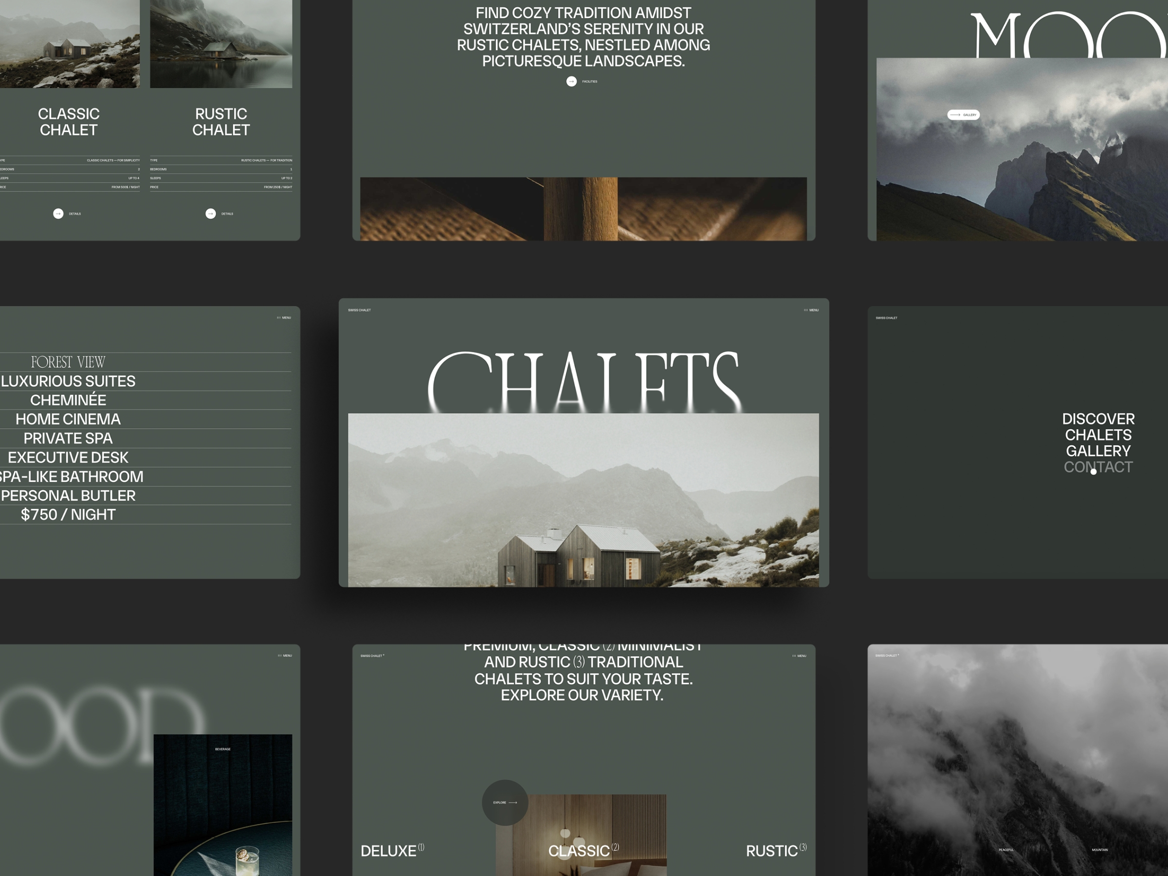 Screenshot of Swissretreat website