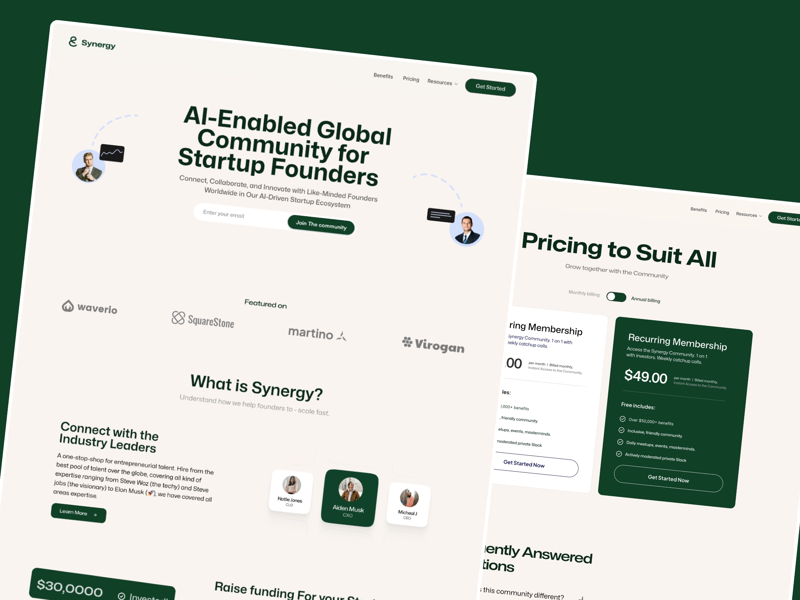 Screenshot of Synergy website