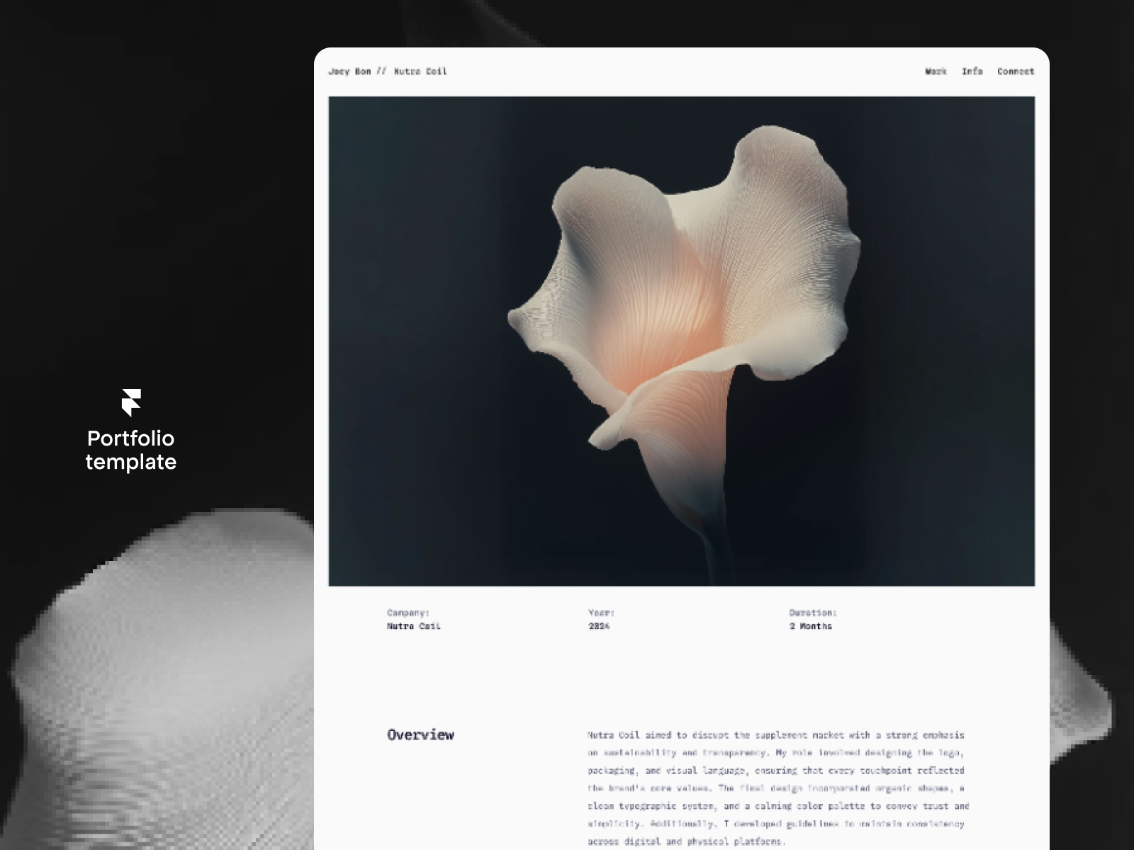Screenshot 2 of Tdjoeyfolio