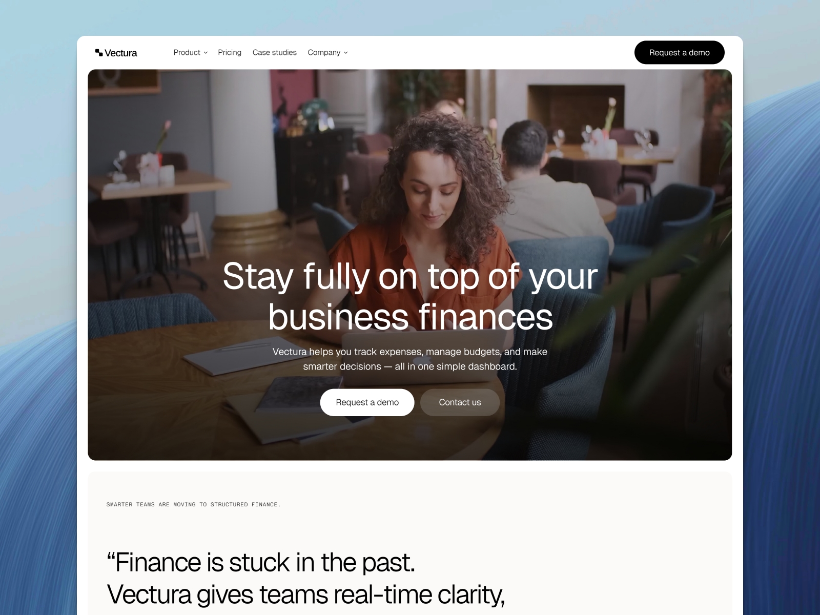 Screenshot of Vectura website