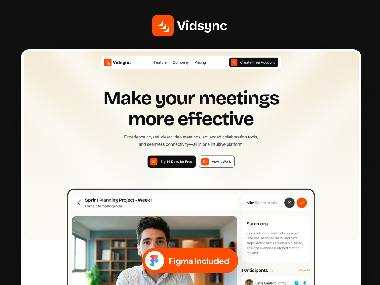 Screenshot of Vidsync website