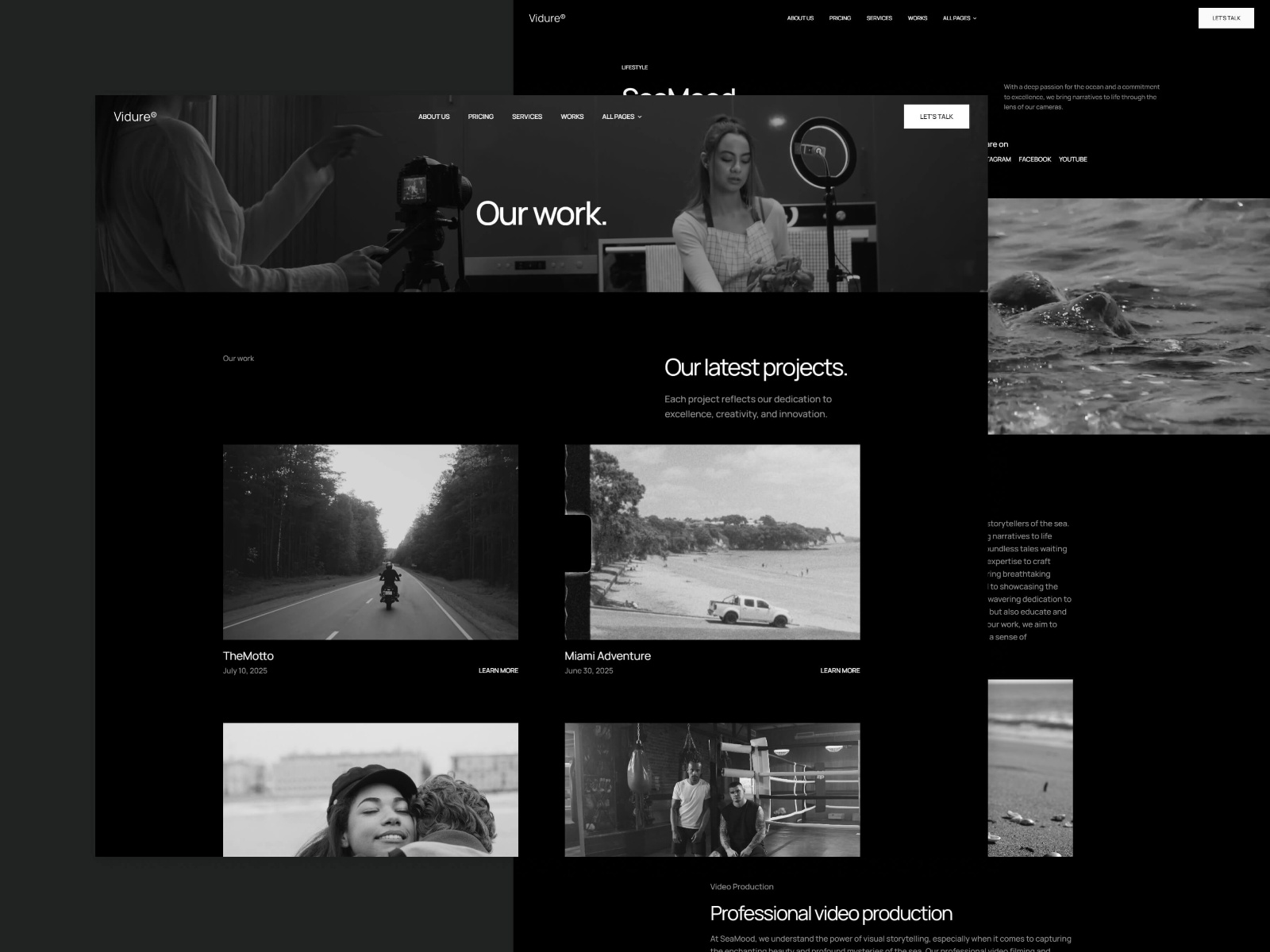 Screenshot 4 of Vidure