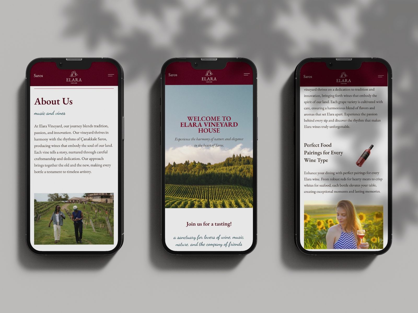 Screenshot 4 of Vineyard