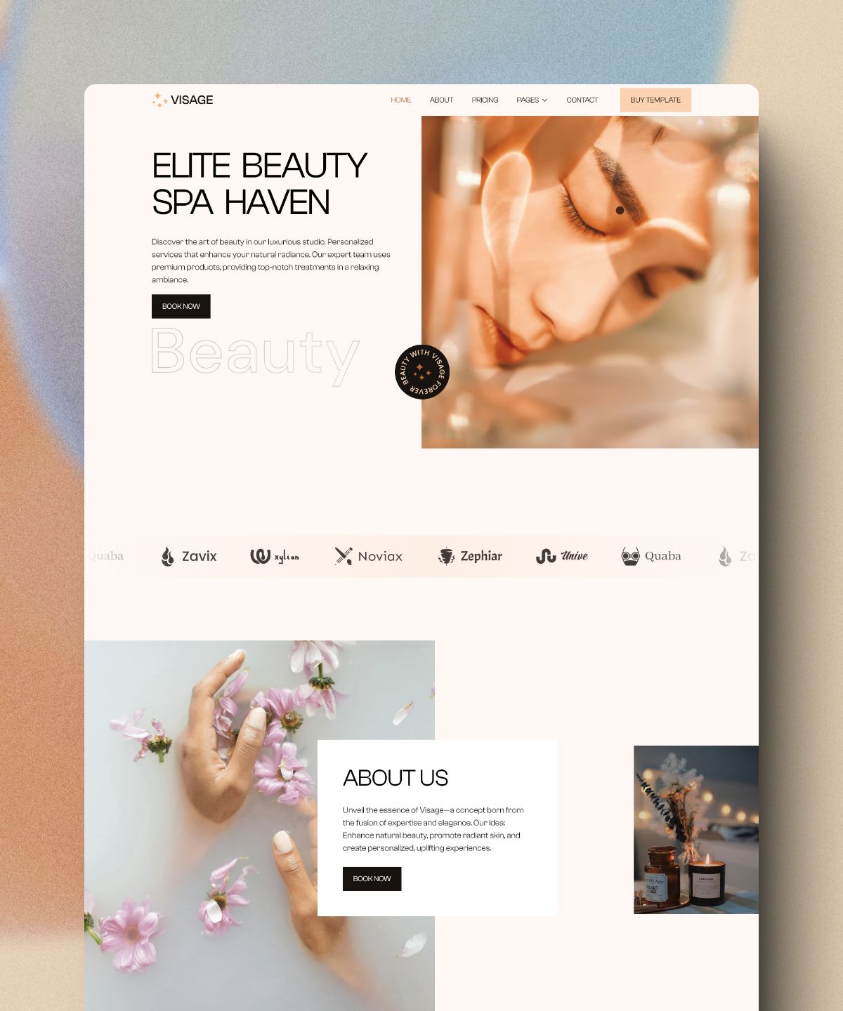 Screenshot of Visage website