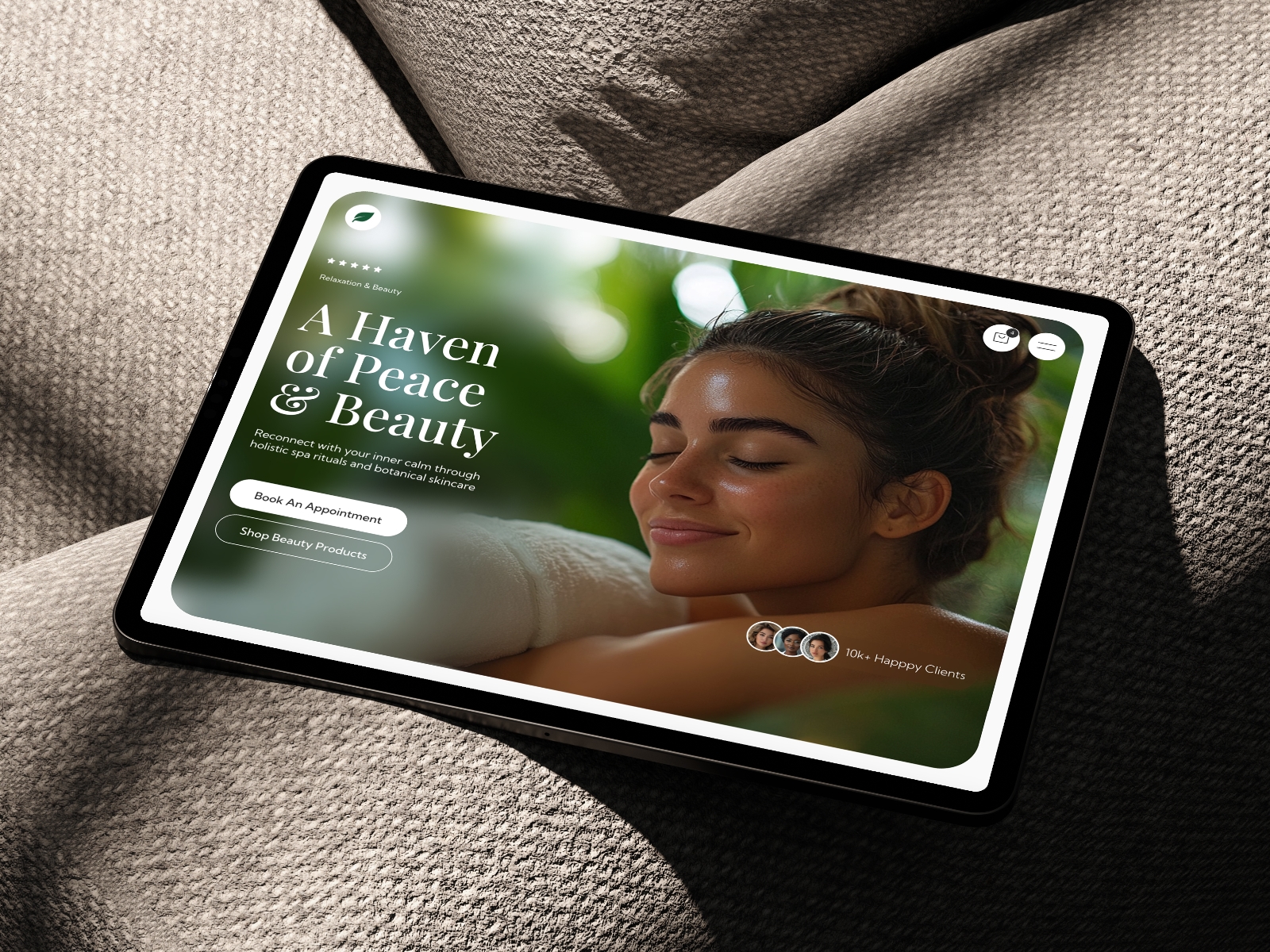 Screenshot of Vistiq website