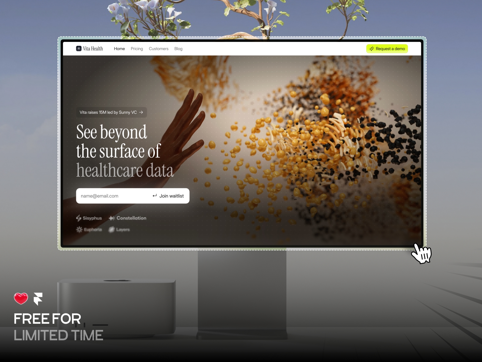 Screenshot of Vita website
