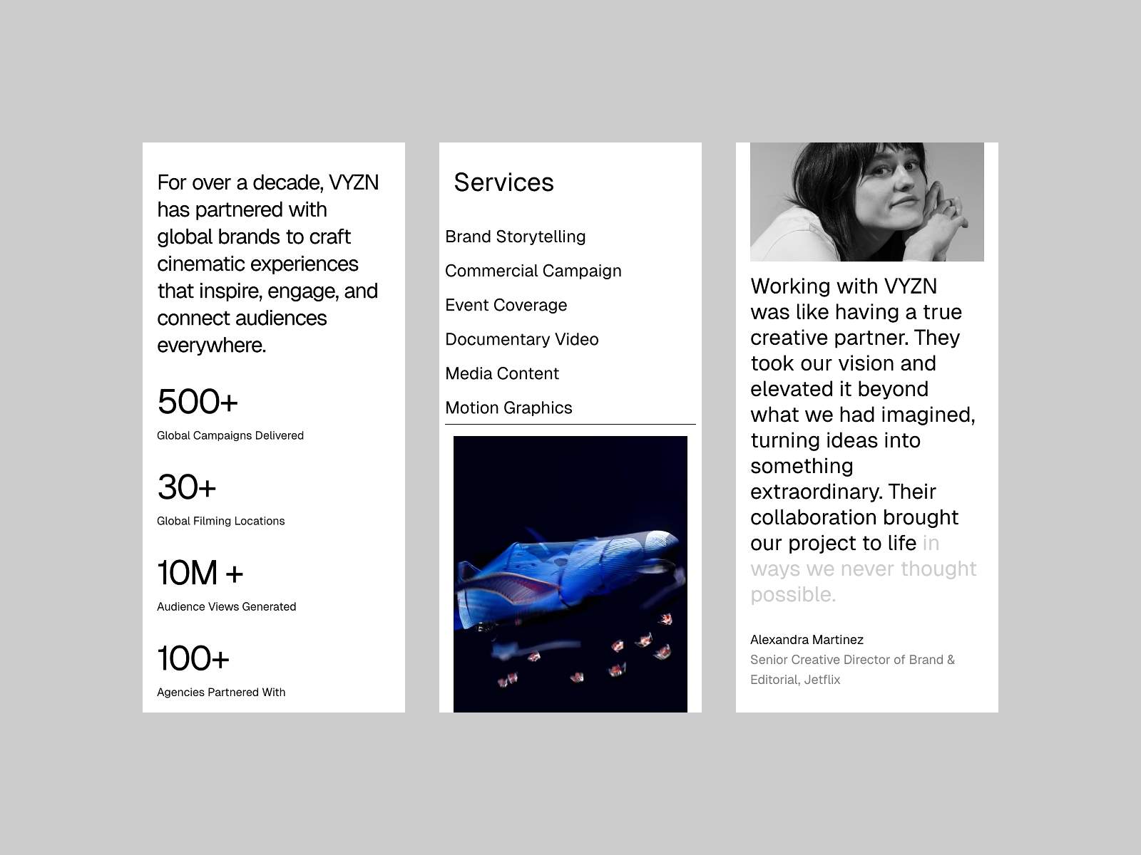 Screenshot 4 of Vyzn