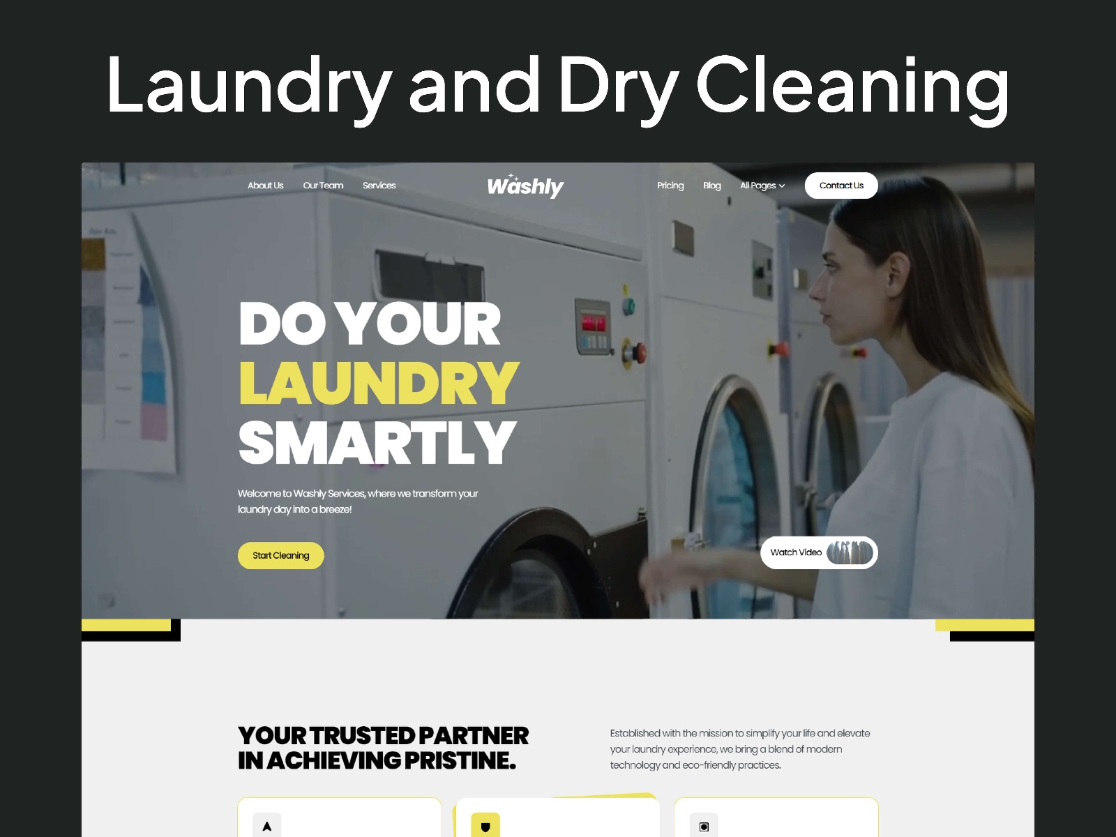 Screenshot of Washly website